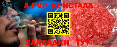 стафф Владивосток