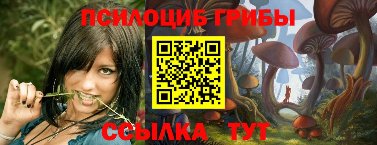 Галлюциногенные грибы Psilocybe  Вход с VPN  Горячий Ключ 