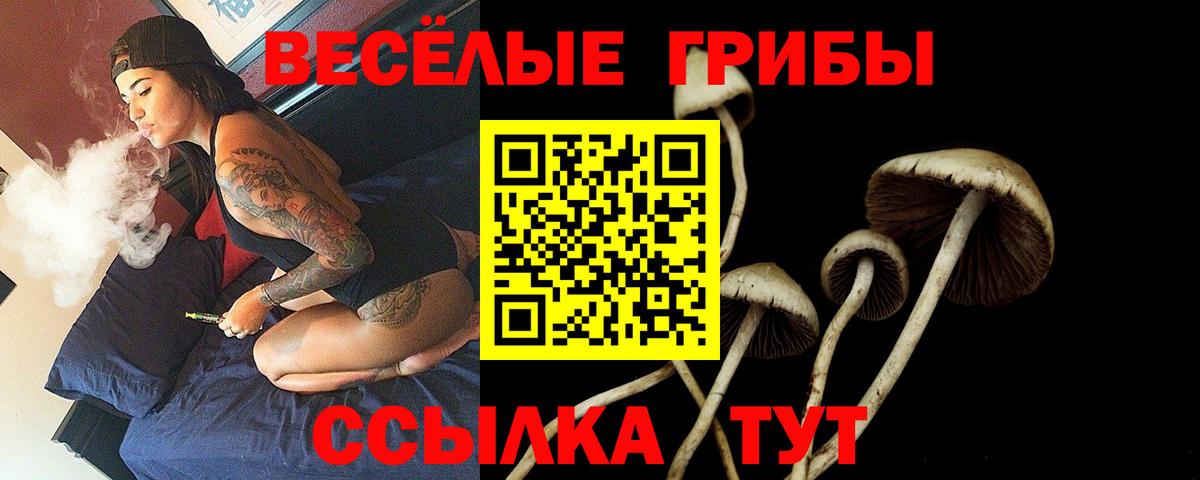 Псилоцибиновые грибы ЛСД Горячий Ключ